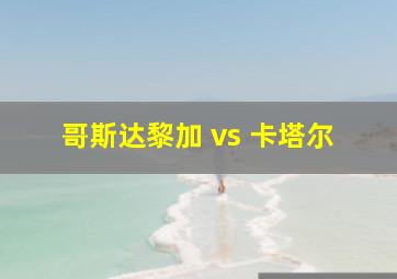 哥斯达黎加 vs 卡塔尔